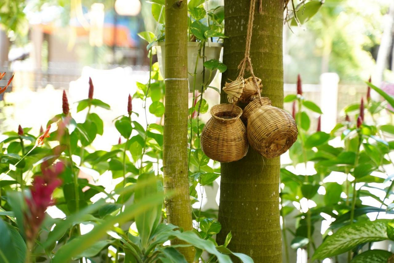 Longan Homestay Hội An Extérieur photo