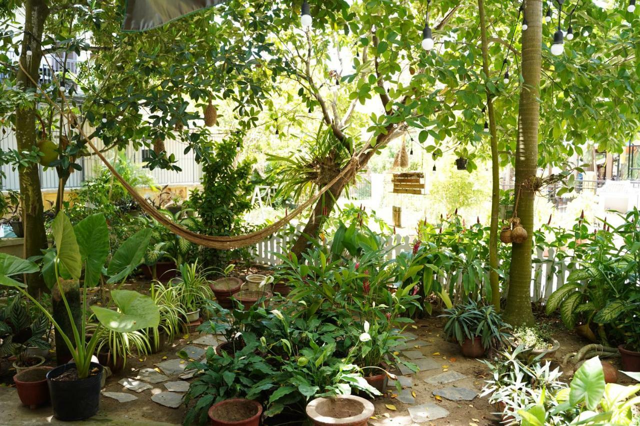 Longan Homestay Hội An Extérieur photo