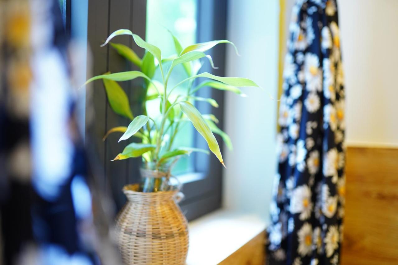 Longan Homestay Hội An Extérieur photo